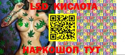 spice Балахна
